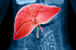 Endoskopická dispenzarizace u pacientů s idiopatickými střevními záněty a primární sklerozující cholangitidou –  zkušenosti terciárního centra